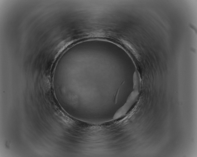 X0000091711212200708311108