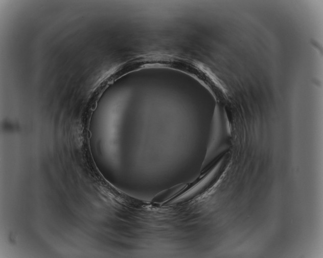 X0000091711213200708311108