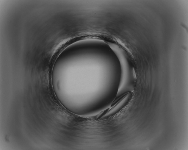 X0000091711214200708311108