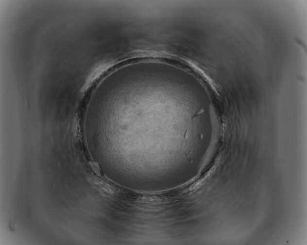 X0000091711215200708311108