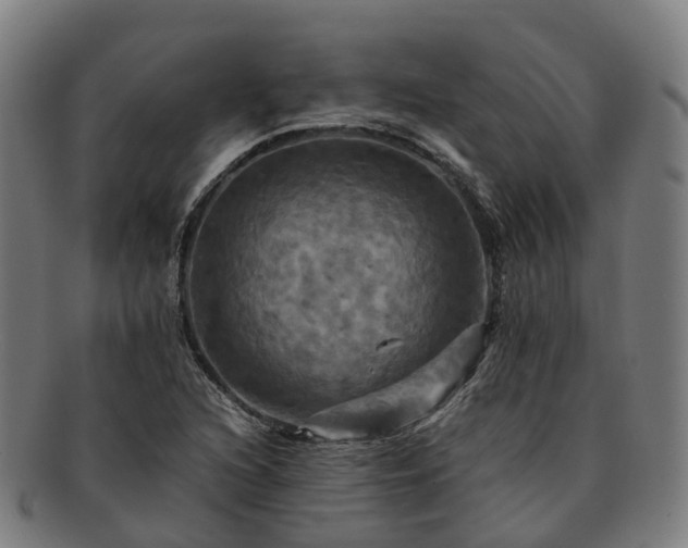 X0000091711216200708311108