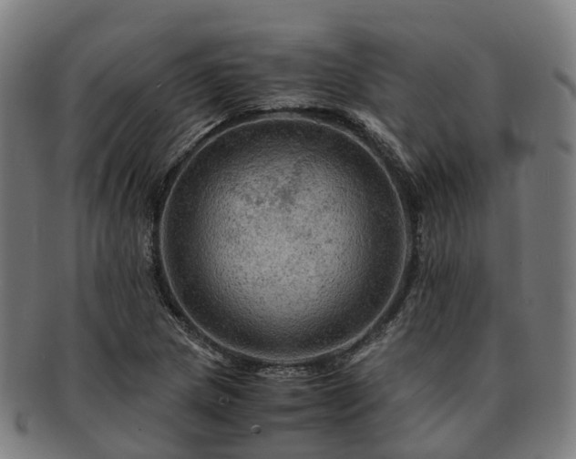 X0000091711217200708311108