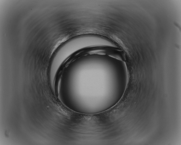 X0000091711218200708311108