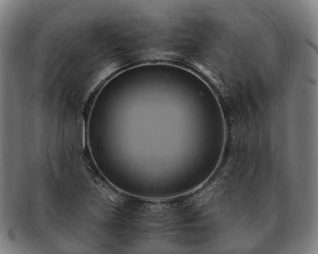 X0000091711219200708311108