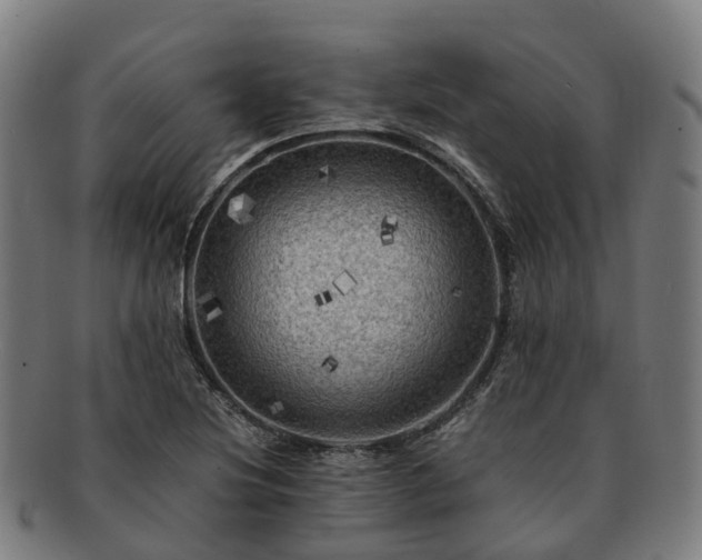 X0000091711220200708311108