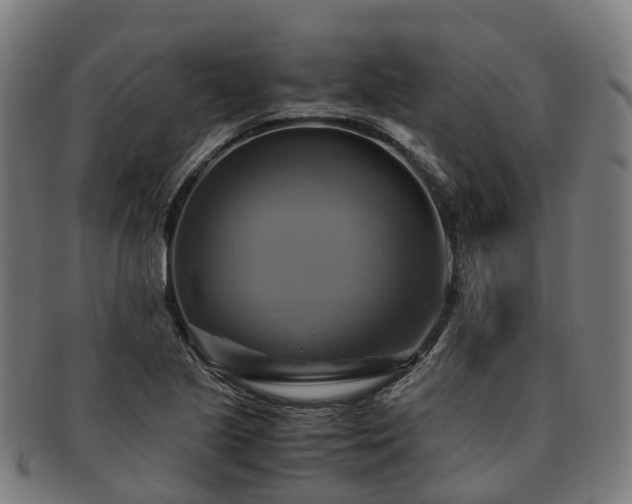 X0000091711221200708311108