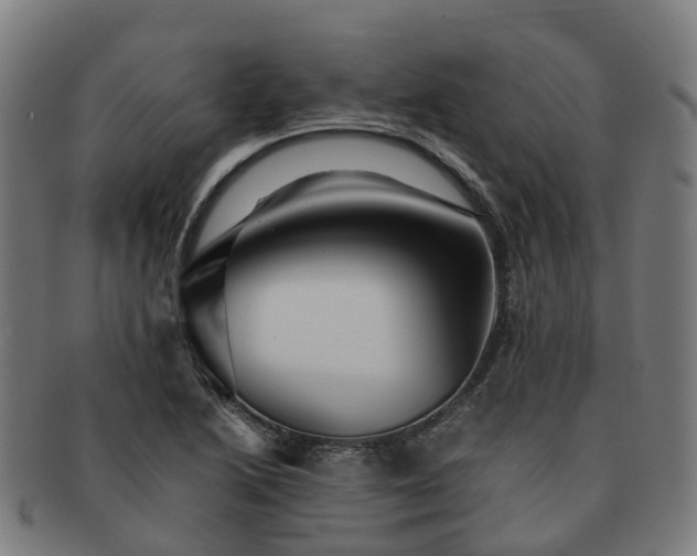 X0000091711222200708311108