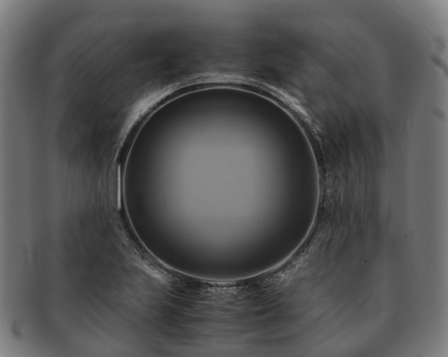 X0000091711223200708311108