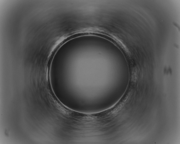 X0000091711224200708311108