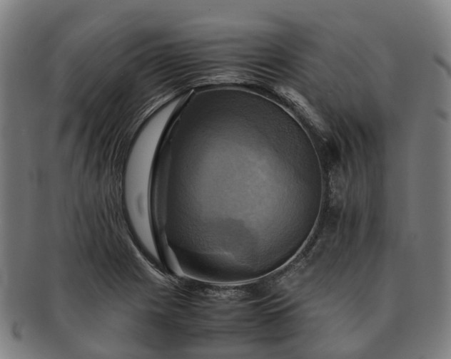 X0000091711225200708311108