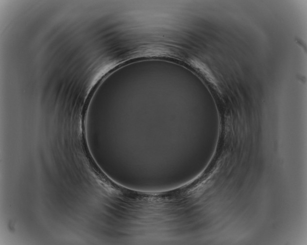 X0000091711226200708311108