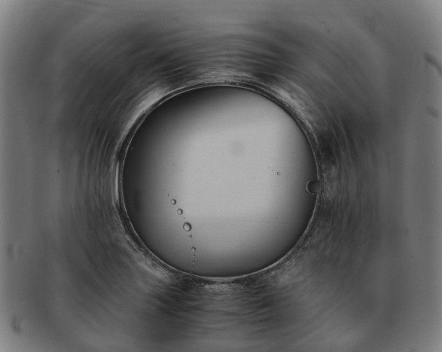 X0000091711227200708311108