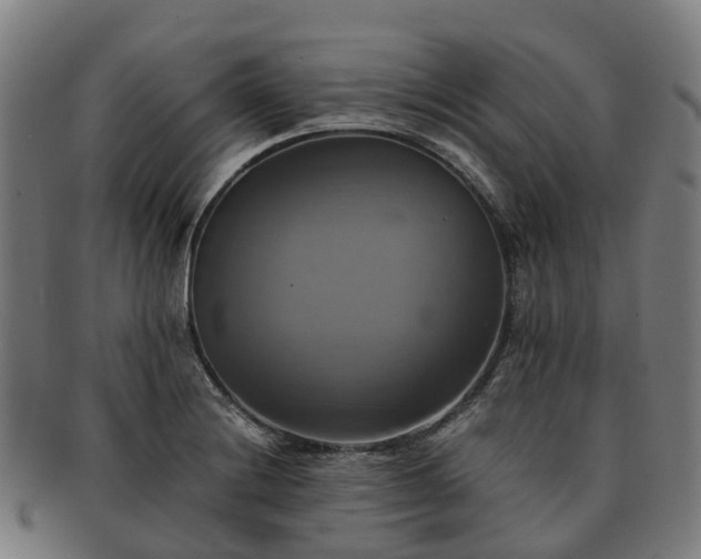 X0000091711228200708311108