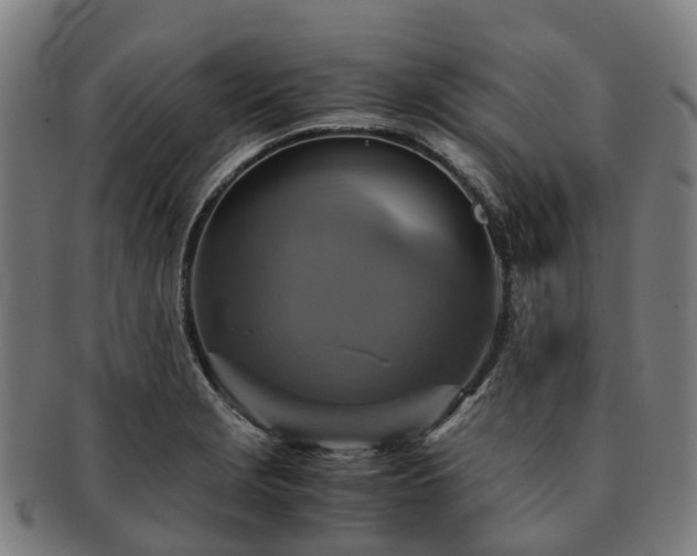 X0000091711229200708311108