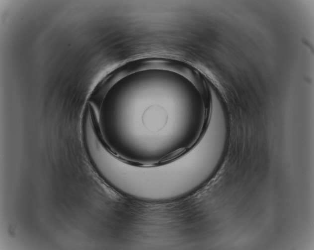 X0000091711230200708311108