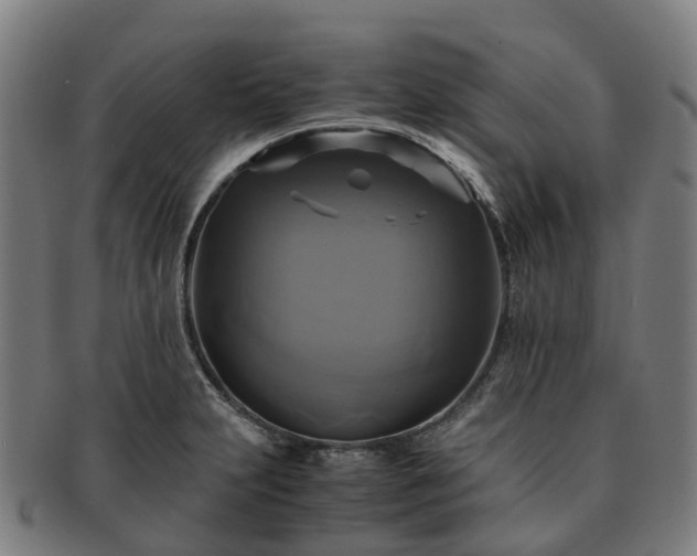 X0000091711231200708311108