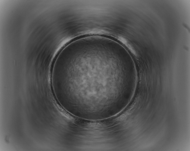 X0000091711232200708311108