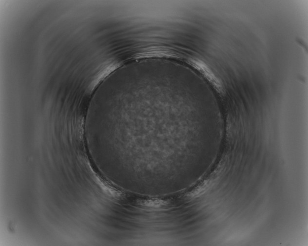 X0000091711233200708311108