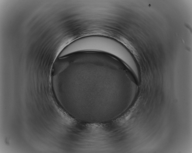 X0000091711234200708311108