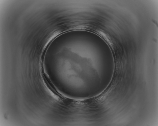 X0000091711235200708311109