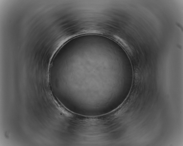 X0000091711236200708311109