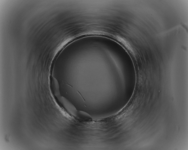 X0000091711237200708311109