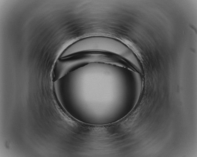 X0000091711238200708311109