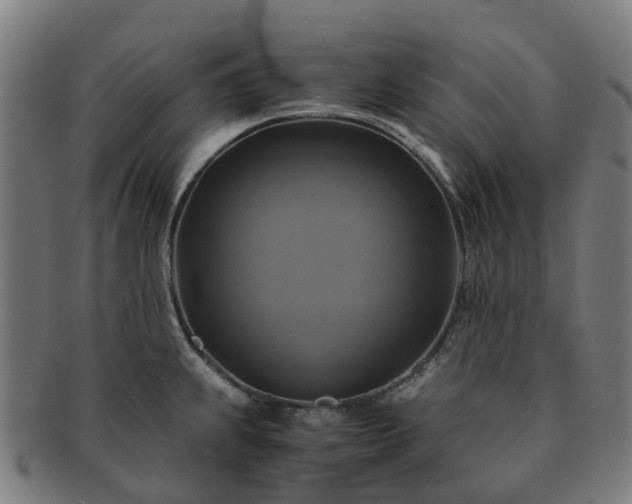 X0000091711239200708311109