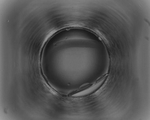 X0000091711240200708311109