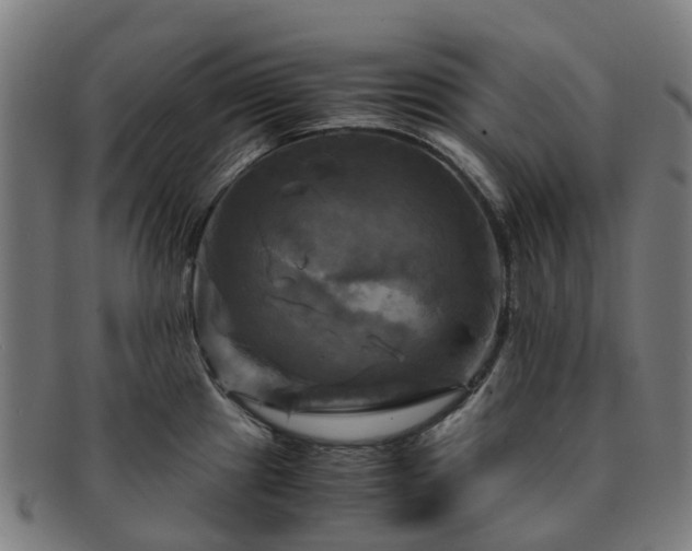 X0000091711241200708311109