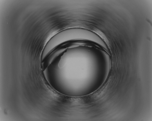 X0000091711242200708311109