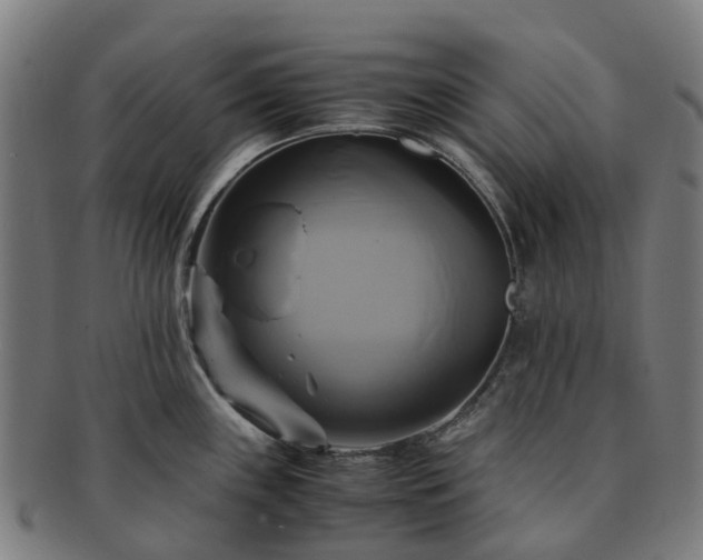 X0000091711243200708311109