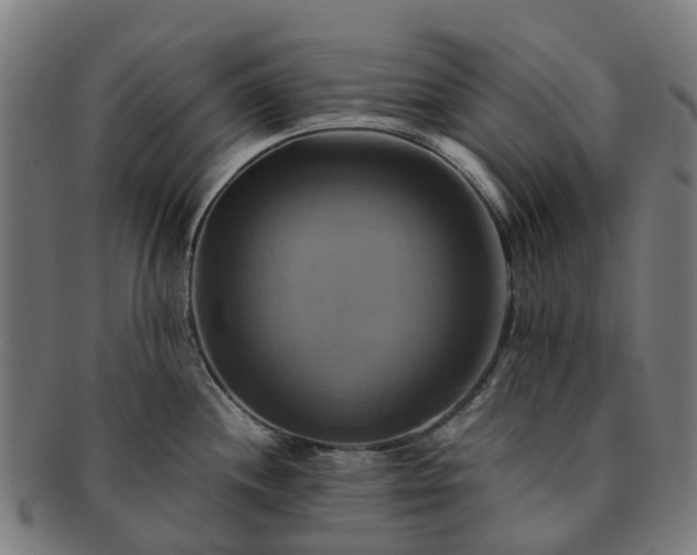 X0000091711244200708311109