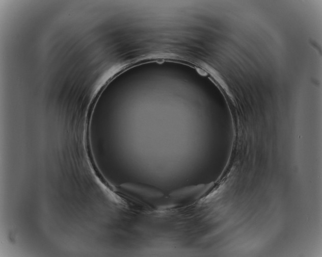 X0000091711245200708311109