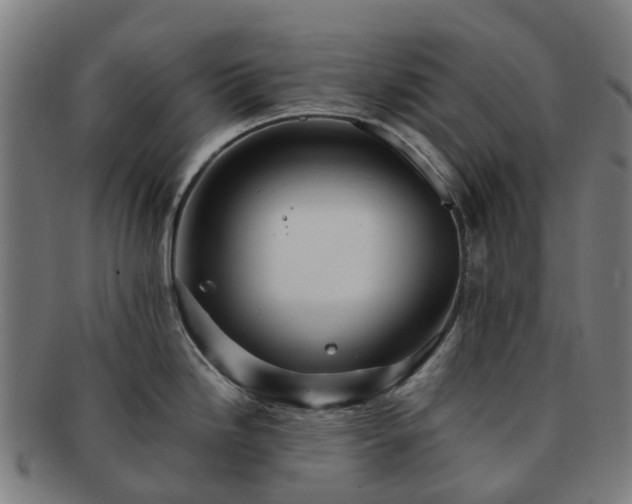 X0000091711246200708311109