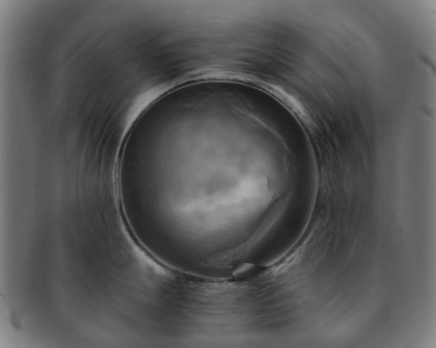 X0000091711247200708311109