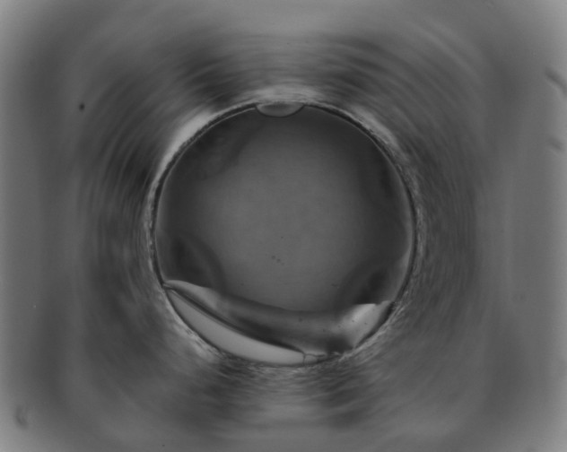 X0000091711248200708311109