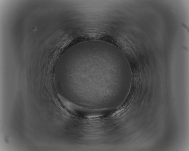 X0000091711249200708311108