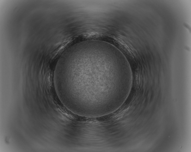 X0000091711250200708311108