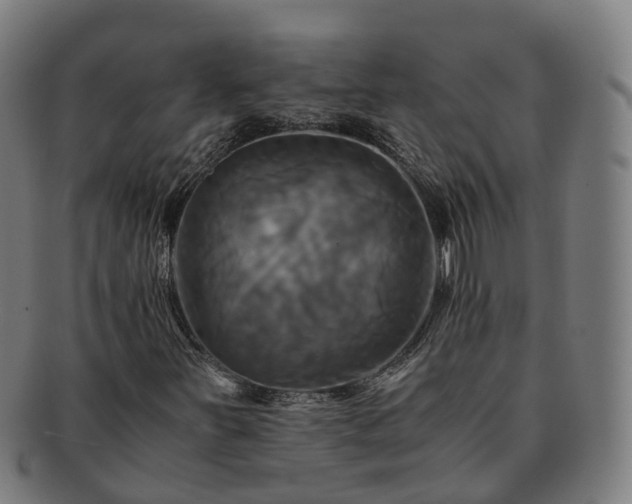 X0000091711251200708311108