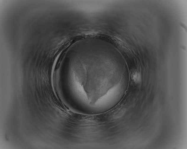 X0000091711252200708311108