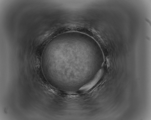 X0000091711253200708311108