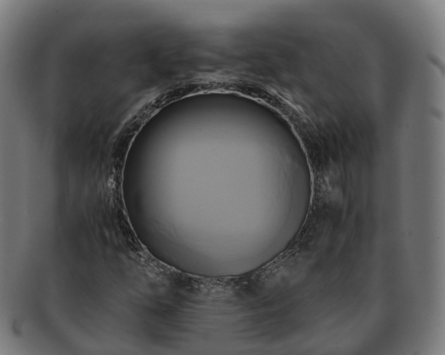 X0000091711254200708311108