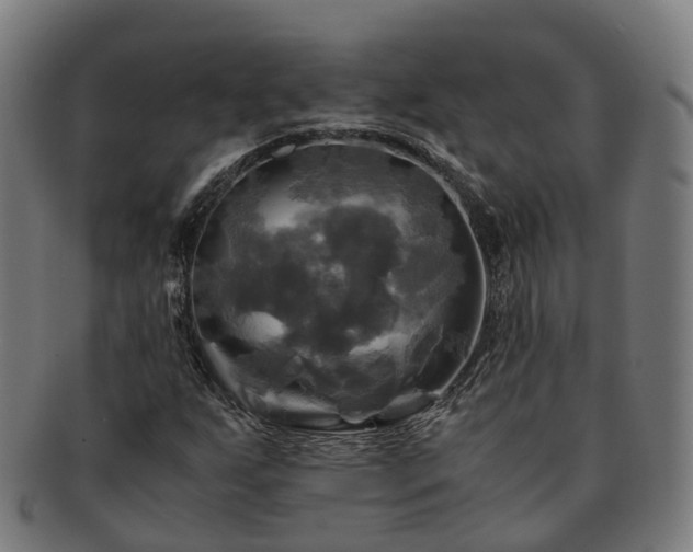 X0000091711255200708311108