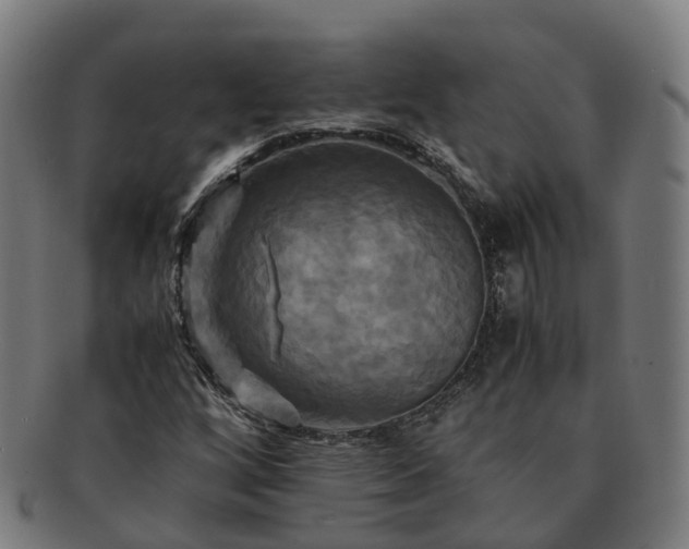 X0000091711256200708311108