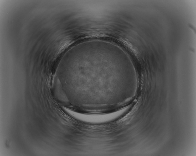 X0000091711257200708311108