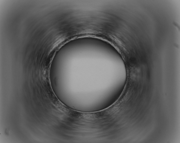 X0000091711258200708311108