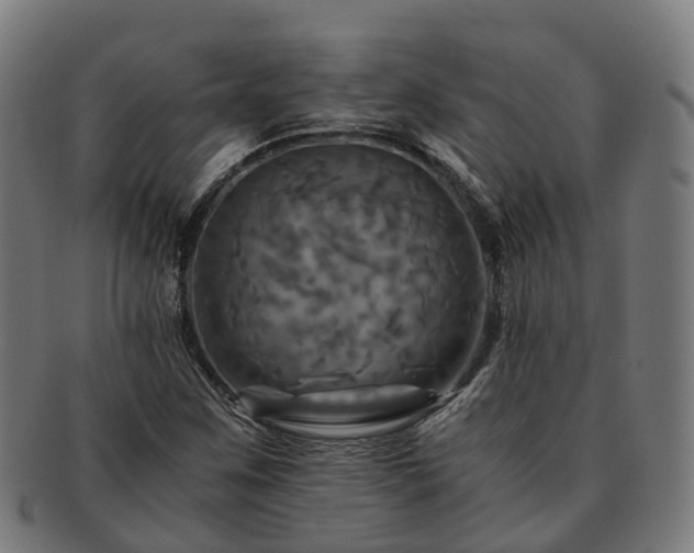 X0000091711259200708311108