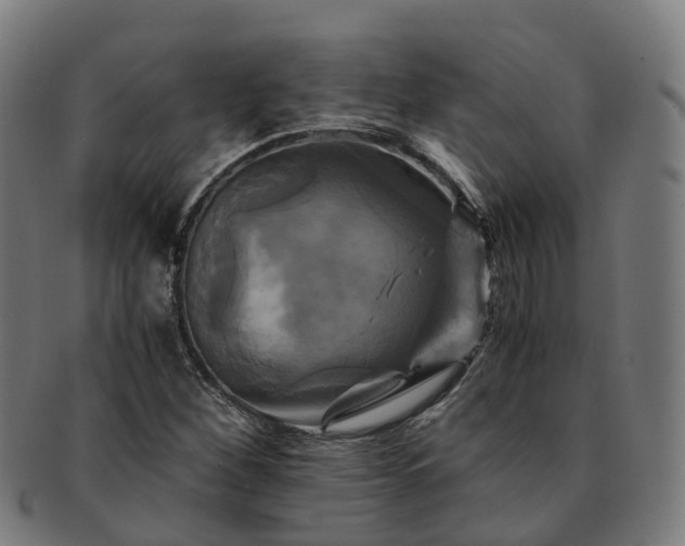 X0000091711260200708311108