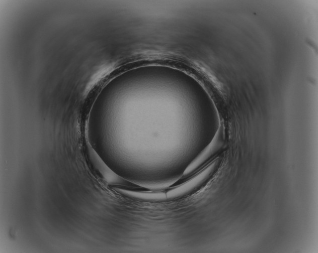 X0000091711261200708311108